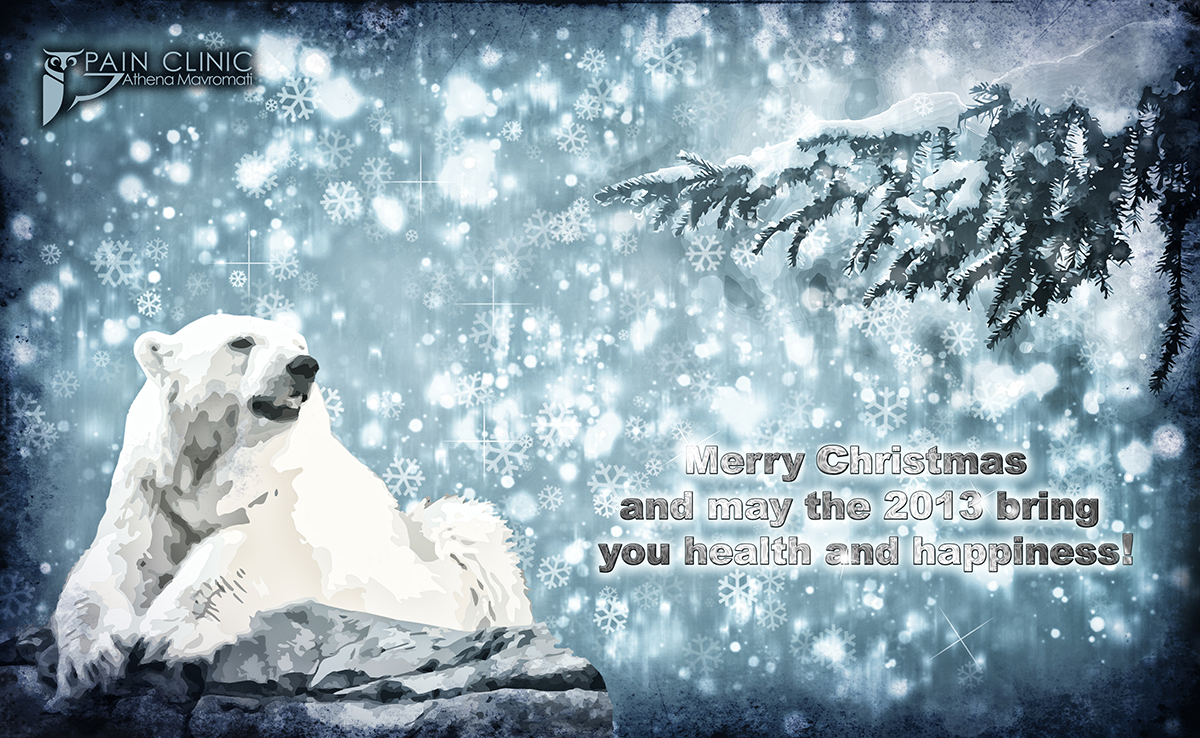 MERRY CHRISTMAS AND HAPPY 2013!