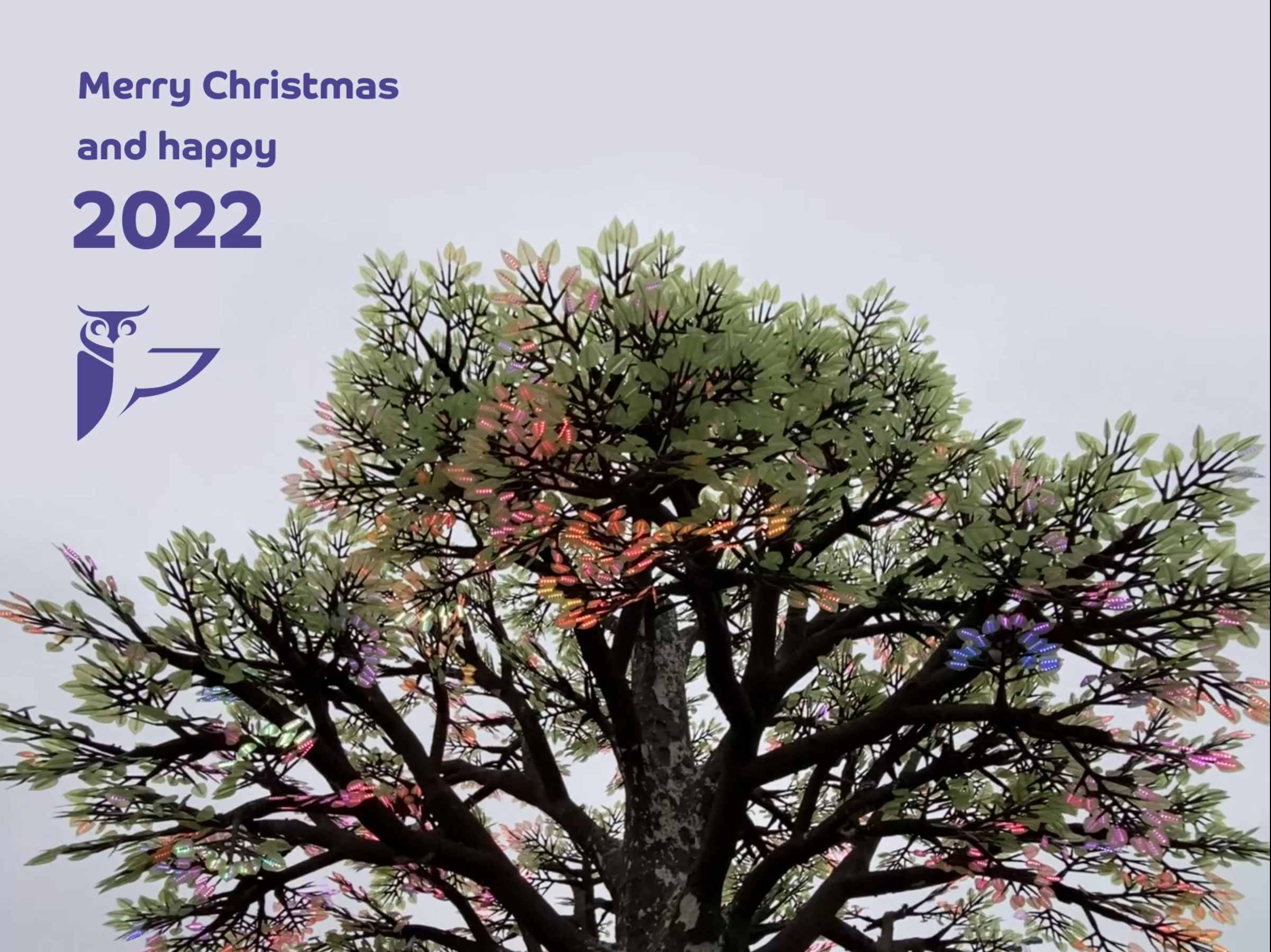 MERRY CHRISTMAS AND HAPPY 2022!